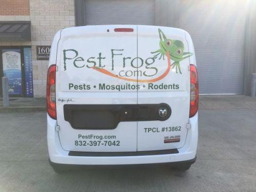 pest-frog-back